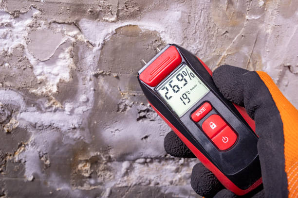 Best Home Mold Removal  in Brookside, AL